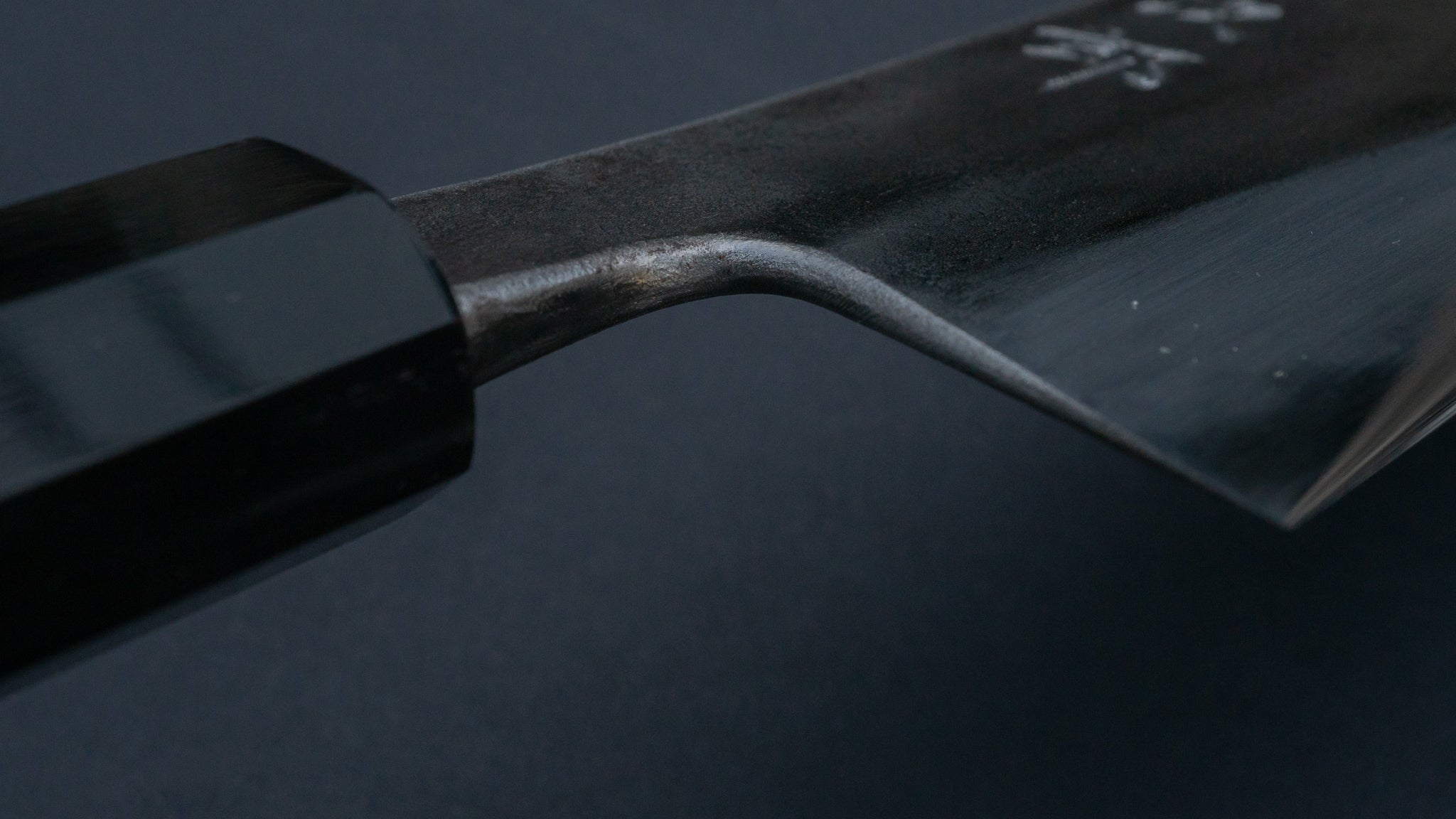 Premium Jiro Tsuchime Wa Gyuto 270mm Japanese Chef Knife with Taihei Tagayasan Handle (#048) - Perfect for Professional Chefs & Home Cooking Enthusiasts