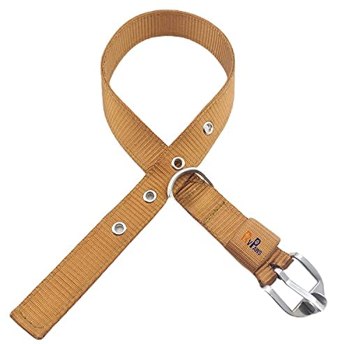 SR VISION Adjustable Nylon Dog Collar - 1 Inch Wide Durable Pet Neck Belt with Metal Buckle (Golden Color) for Small Medium Large Dogs - Perfect for Daily Walks, Training & Outdoor Adventures