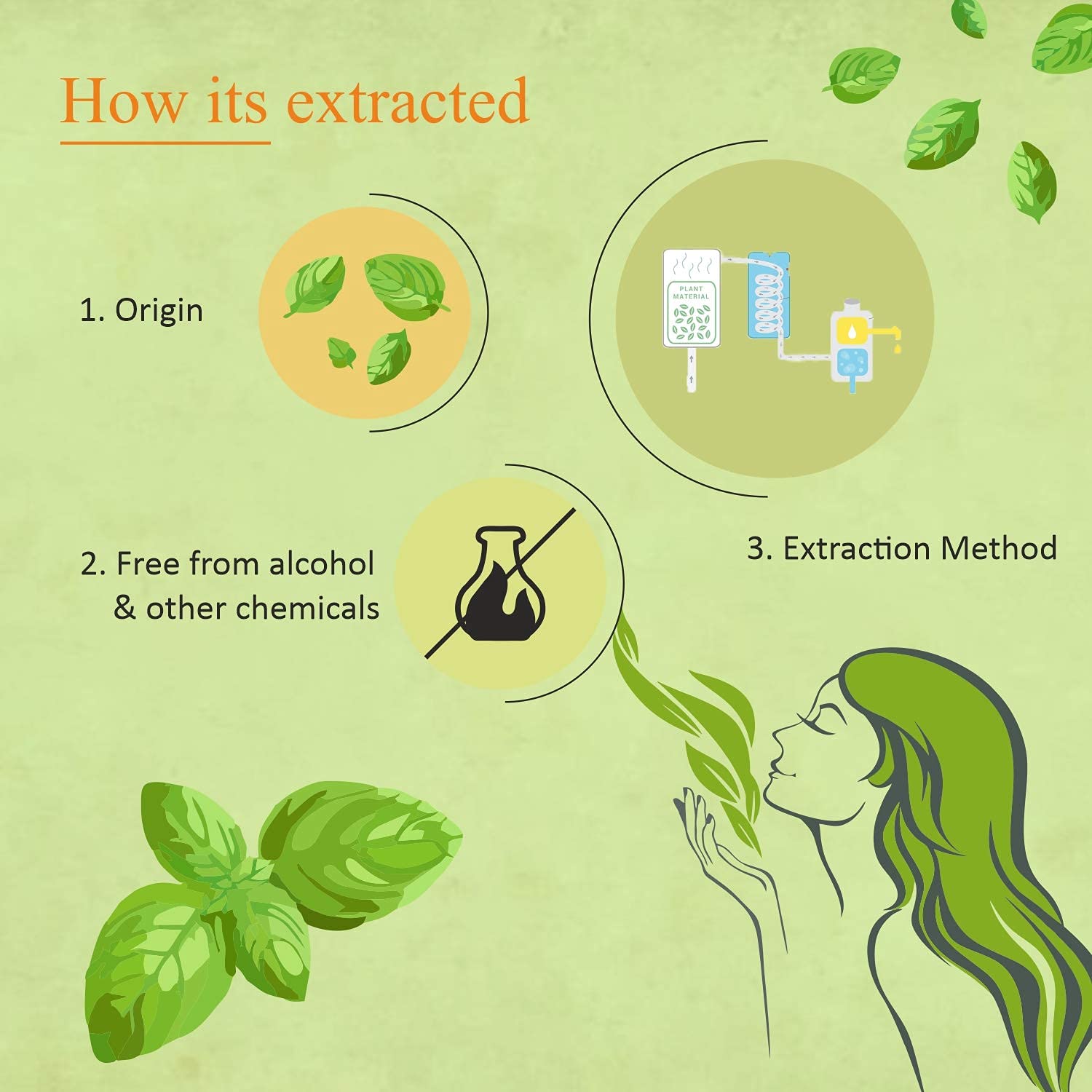 Organic Basil Essential Oil 4oz - USDA Certified for Hair, Skin & Aromatherapy - Perfect for Diffusers & Massage