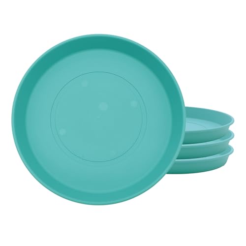 Dusty Teal