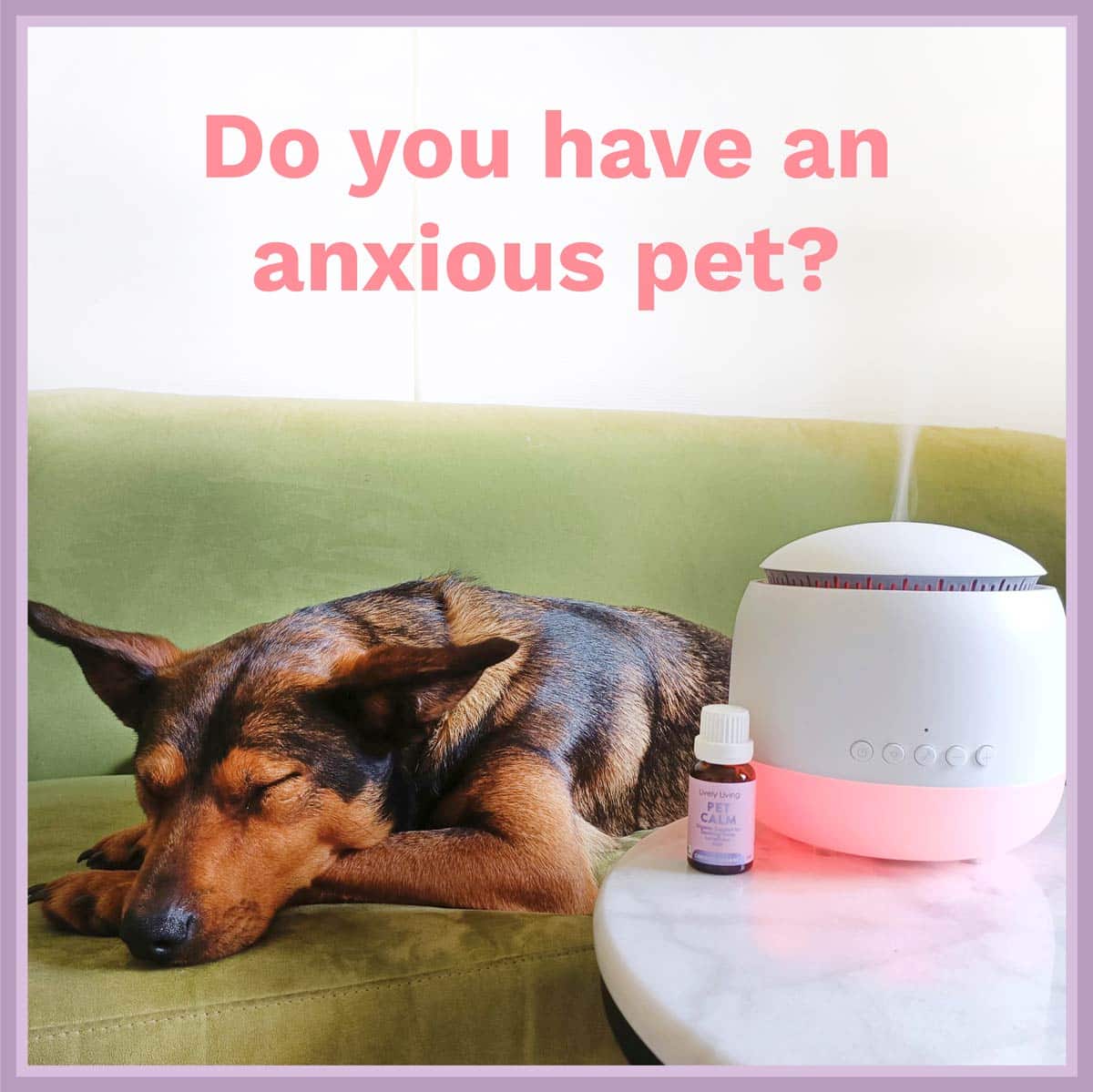 Anxiety Relief Bundle for Dogs & Cats - Calming Chews, Soothing Spray & Comfort Blanket - Perfect for Thunderstorms, Travel & Separation Anxiety