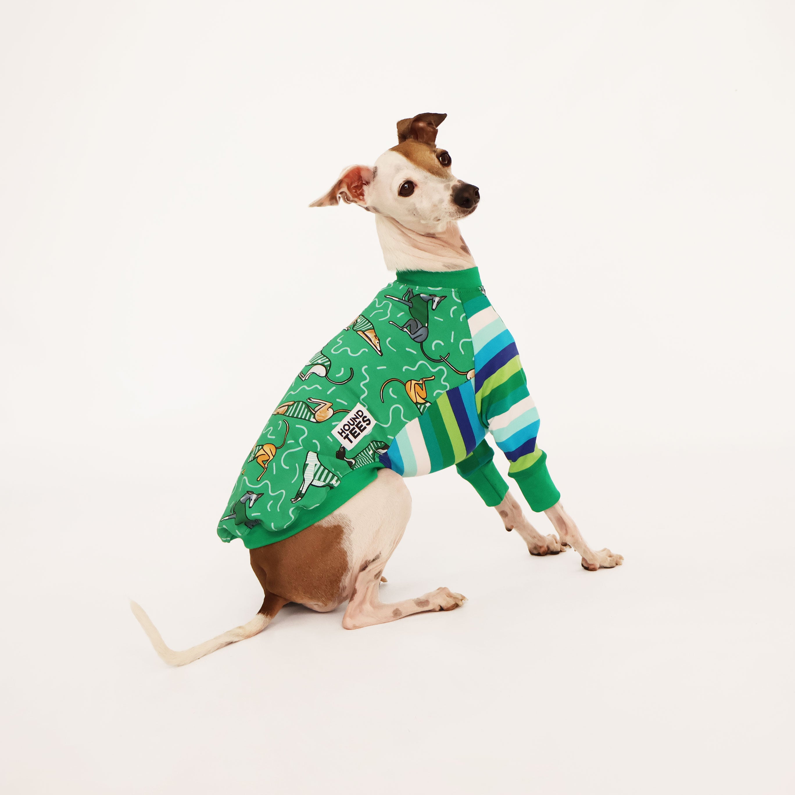Italian Greyhound Long Sleeve Dog Lover T-Shirt - Comfortable Cotton Tee for Small Breed Owners, Perfect for Casual Wear & Dog Park Outings