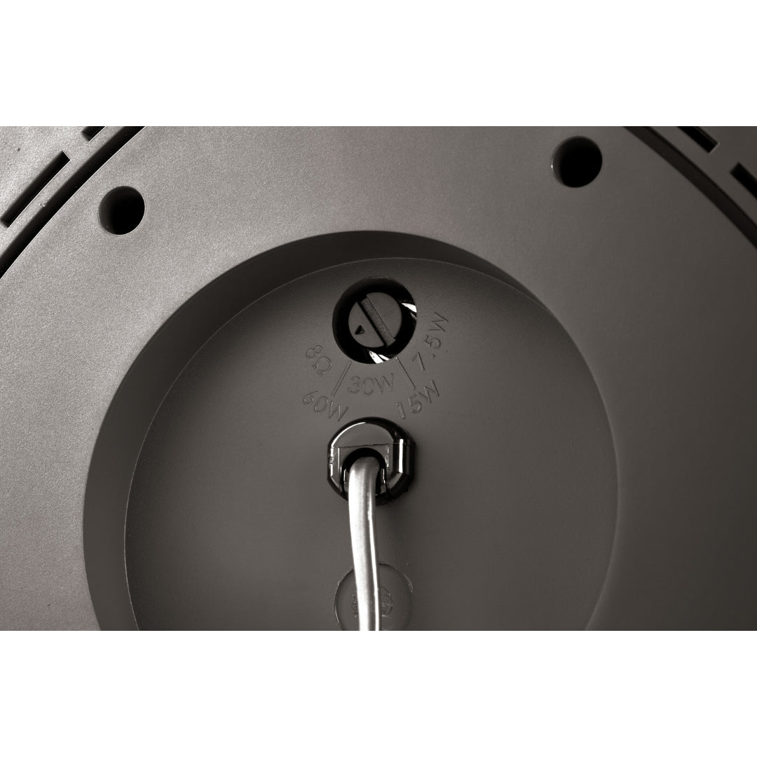 Definitive Technology Dymension BL 650 Outdoor 6.5
