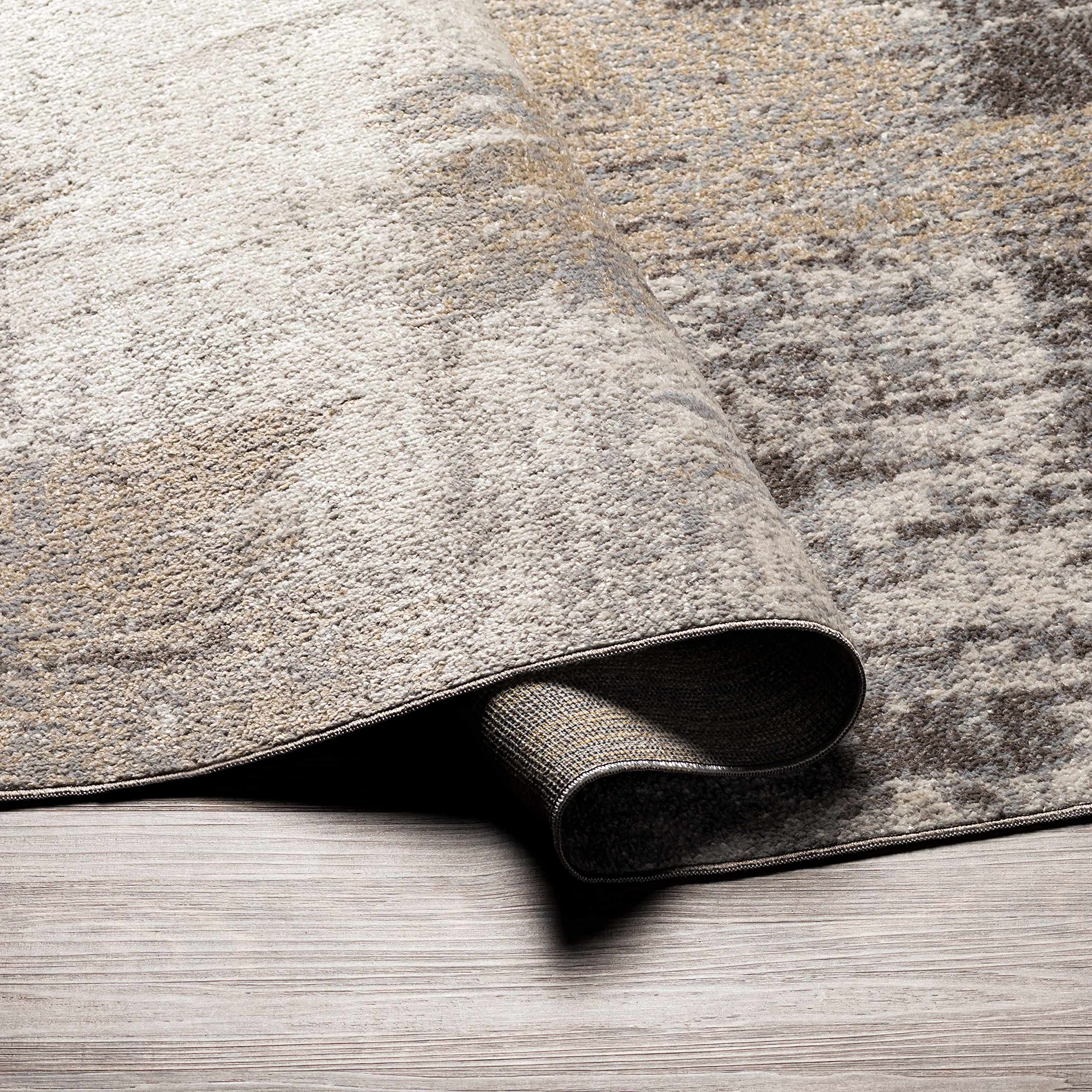 Machine Washable Area Rug for Living Room & Bedroom - Soft Beige, Brown, Gray Modern Rug - 6'7