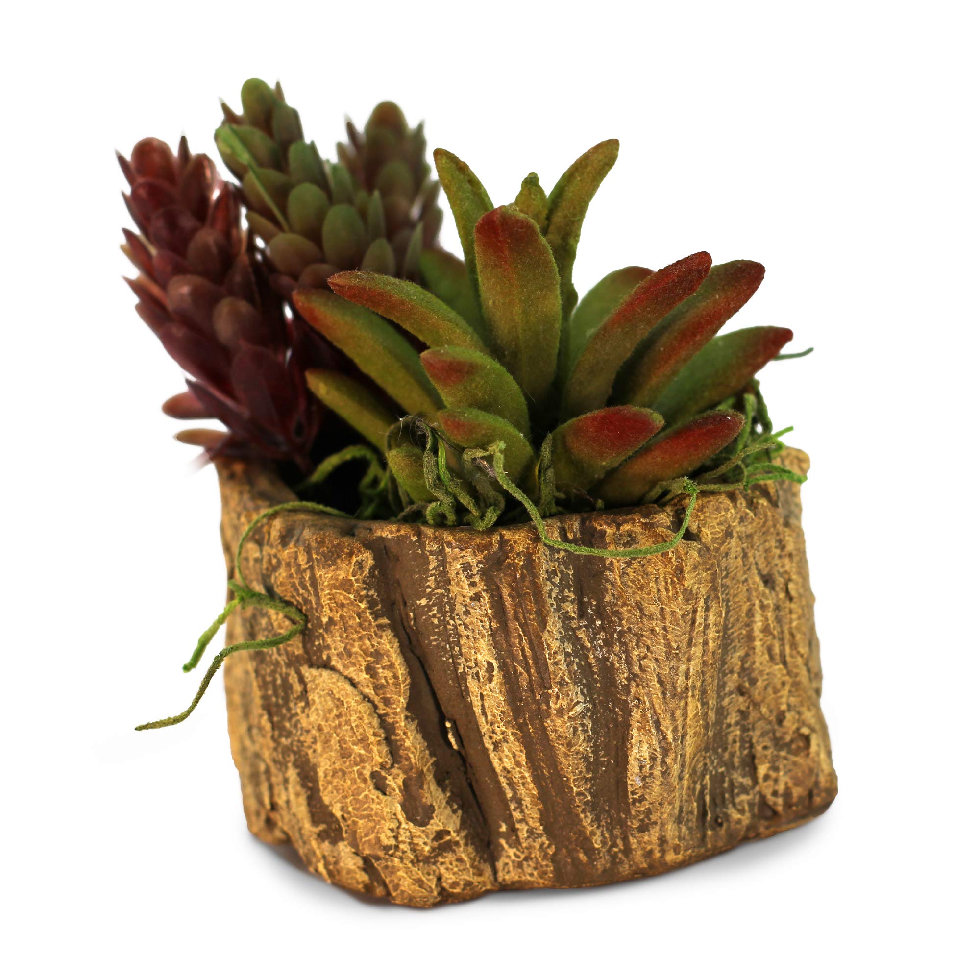 Ceramic Wood Plant Pot - Indoor Wood Planter with Natural Log Design for Succulents, Flowers & Small Plants | Perfect for Home Decor, Office Desk & Gift Giving (Driftwood Stump Style)