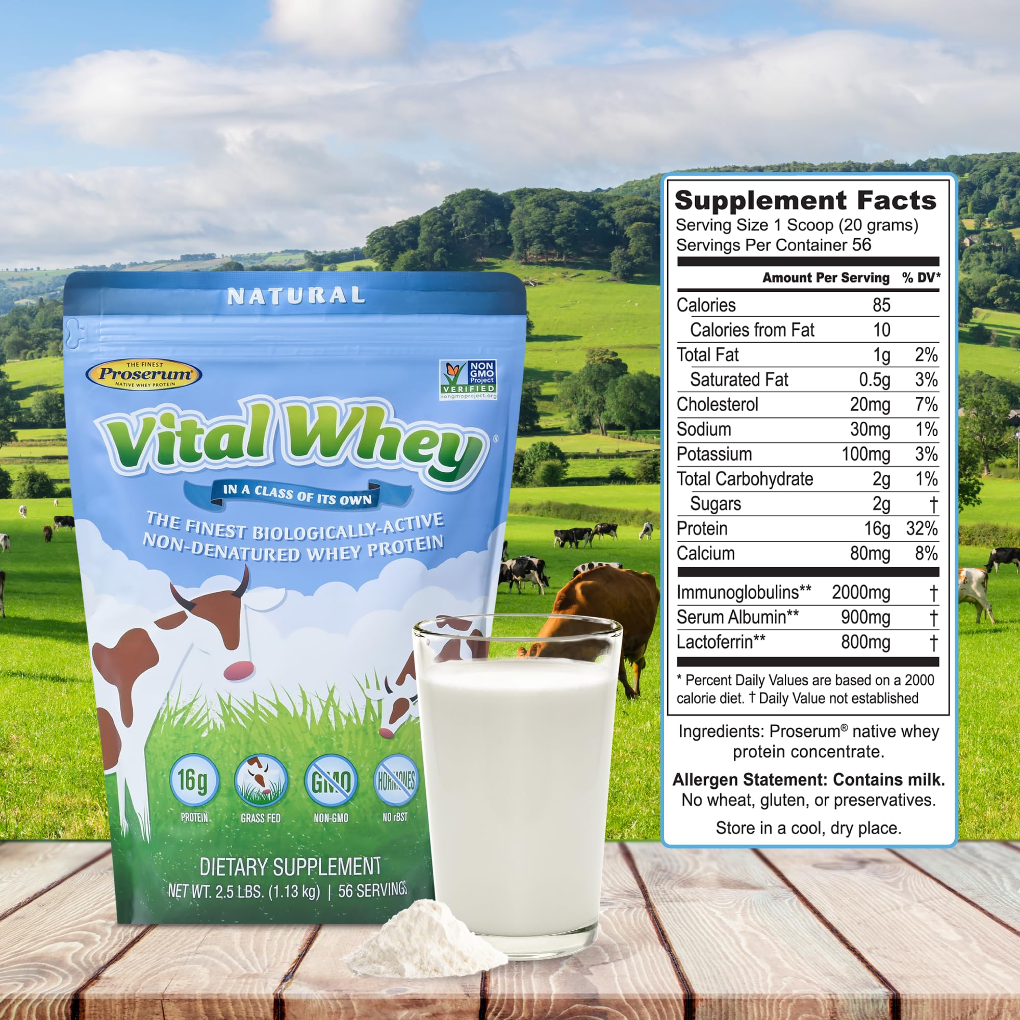 Grass-Fed Whey Protein Powder for Immune Support & Muscle Recovery - Natural Flavor 600g (30 Servings) | 15g Protein Per Serving | Clean Holistic Nutrition for Athletes, Fitness & Wellness Enthusiasts | Ideal for Post-Workout, Smoothies & Healthy Lifestyle