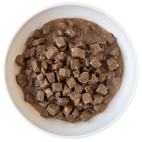 KOHA Lone Star Brisket Canned Dog Food - Grain-Free, High-Protein Wet Food for Dogs - Perfect for Travel, Camping & Emergency Pet Supplies