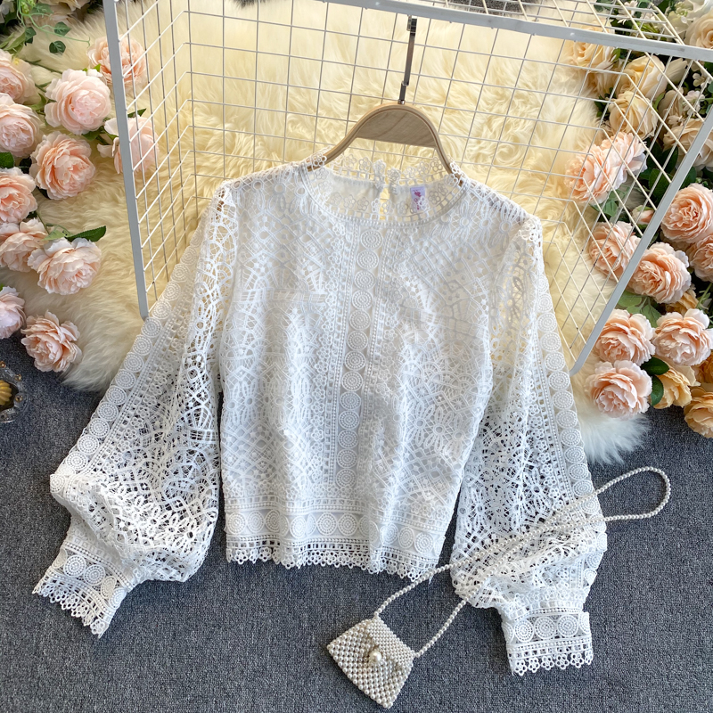 Hollow Lace Puff Sleeve Pullover Blouse for Women - Elegant Floral Embroidered Tunic Top - Perfect for Office, Date Night & Spring Outfits