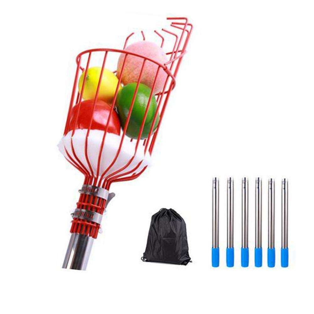 Adjustable Lightweight Fruit Picker Tool with Detachable Pole - 5/8/12/13 ft Stainless Steel Fruit Harvesting Basket for Oranges, Pears, Mangoes - Perfect for Home Garden, Orchard Picking & Backyard Harvesting