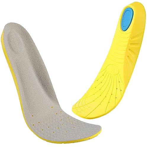 Gray/ Yellow