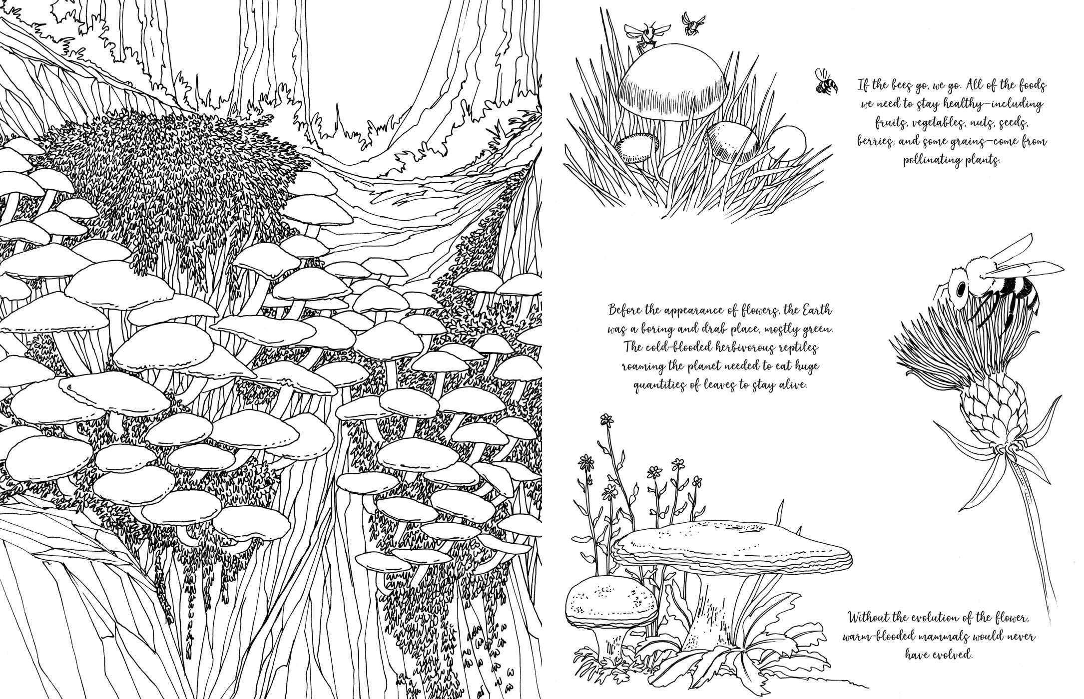 Fantastic Fungi Coloring Book for Adults - Relaxing & Stress Relief Mushroom Designs - Perfect for Meditation, Art Therapy & Nature Lovers