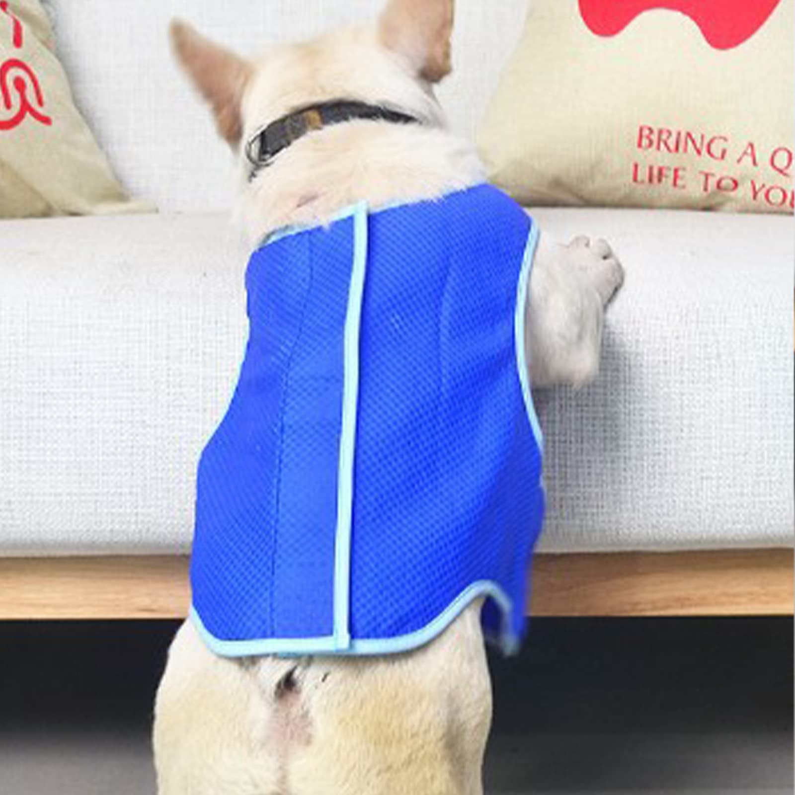 Lightweight Dog Cooling Vest Harness - Breathable & Adjustable Cooling Jacket for Small, Medium & Large Dogs - Perfect for Outdoor Hunting, Training, Camping & Summer Walks
