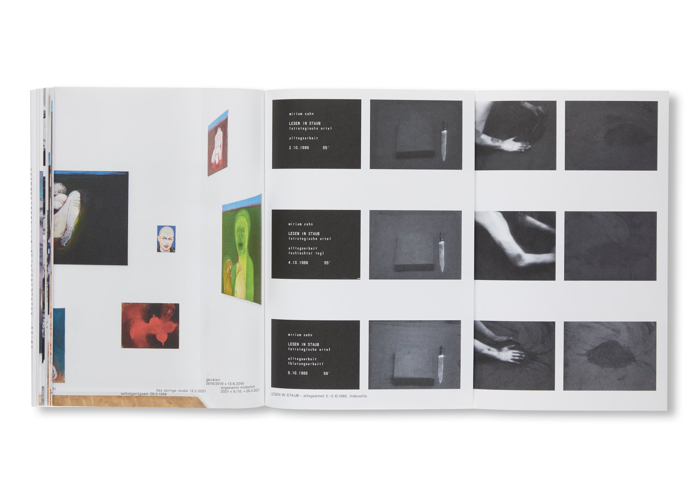 MEINEJUDEN by Miriam Cahn - Contemporary Art Book Collection | Jewish Art & Culture Exploration | Perfect for Art Lovers, Collectors & History Enthusiasts