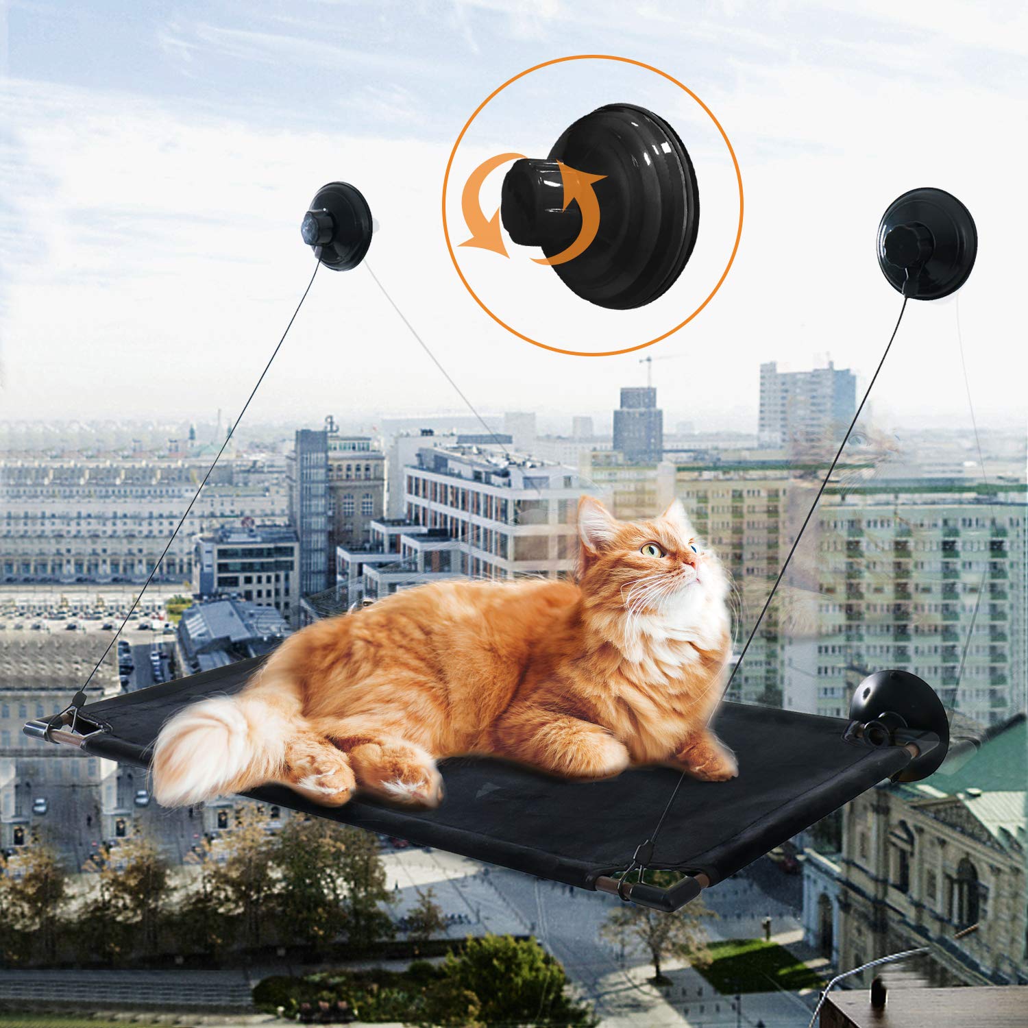 Sunhoo Cat Window Perch with Screw Suction Cups - Large Cat Window Hammock for 2 Cats, 50 LBS Capacity Pet Window Bed - Perfect for Sunbathing & Lounging by the Window (Black) - Ideal for Indoor Cats to Relax and Enjoy Outdoor Views