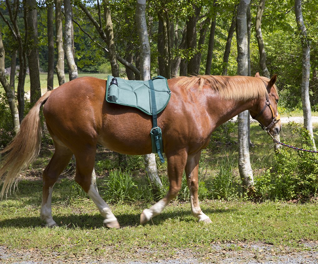 Best Western Bareback Saddle Pad for Horses - Contoured Poly-Cotton Blend, Breathable & Non-Slip Girth with Water Bottle Holder - Perfect for Trail Riding, Training & Equestrian Sports
