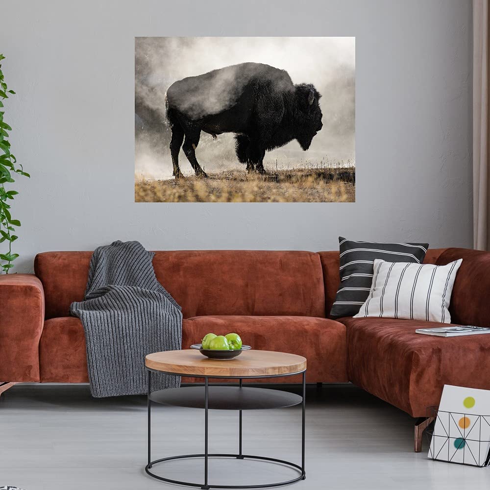 Danita Delimont Geyer Basin Fine Art Canvas Wall Decor - 32x24 Inches - Ready to Hang for Living Room, Bedroom, Office & More - Perfect for Home, Kitchen, Bathroom & Dining Room Decor