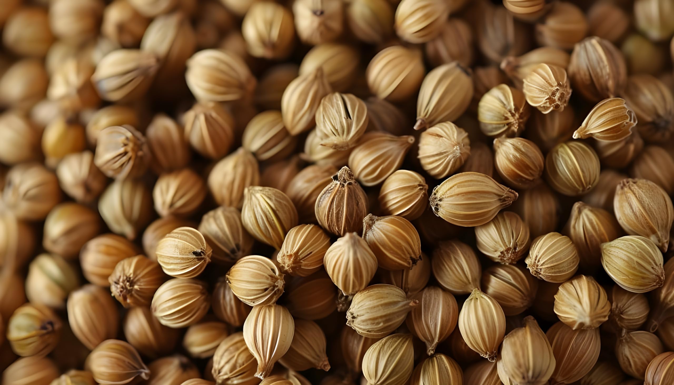 Organic Coriander Seeds 16 Oz - 100% Certified, Non-GMO, Raw, Non-Irradiated - Perfect for Cooking, Baking, and Herbal Remedies