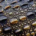 Black Crocodile Skin