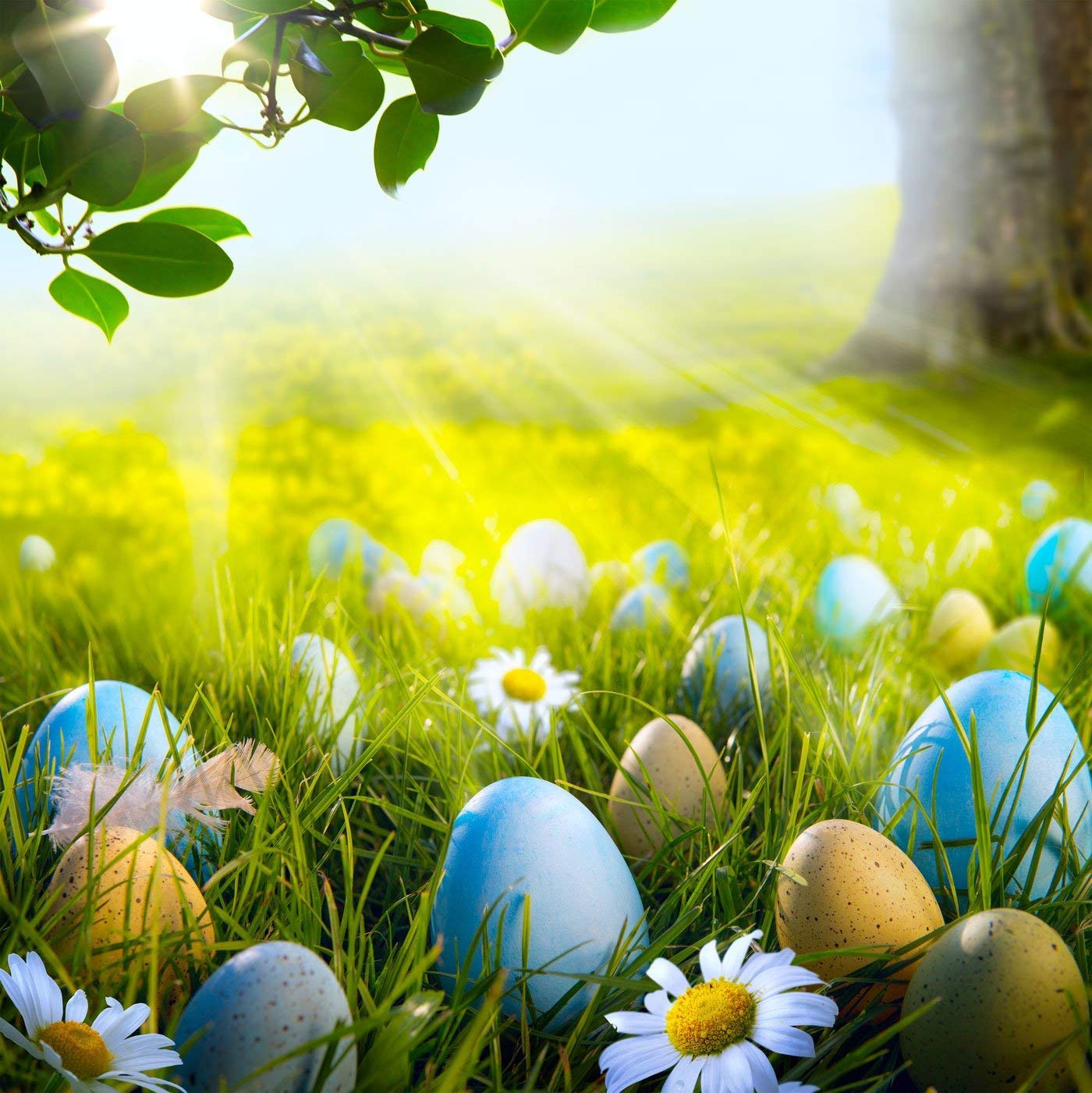 8x8ft Easter Spring Photography Backdrop - Sunshine Daisy Tree Leaves Design for Kids Photo Shoot, Party Decor, Easter Celebration, and Family Portraits