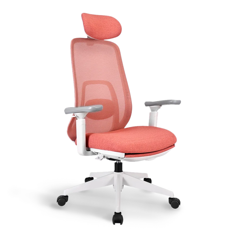 Pluto Ergonomic Office Chair - Adjustable Lumbar Support & Breathable Mesh Back - Perfect for Home Office, Gaming & Workspace