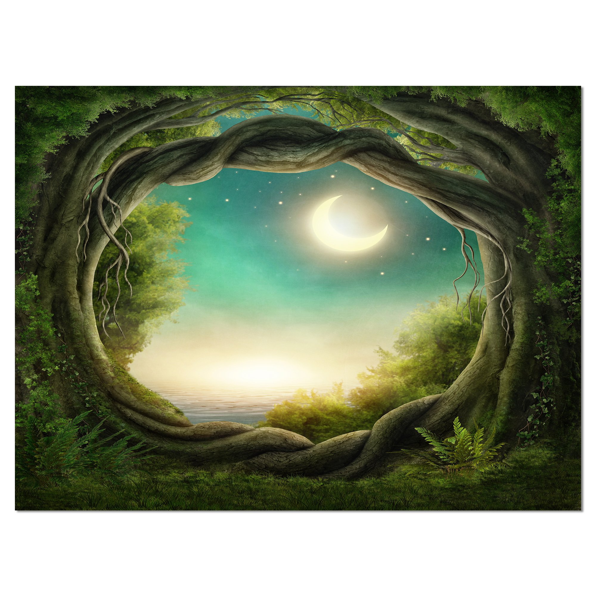 Enchanted Dark Forest Landscape Photography Canvas Print - Nature Wall Art for Home & Office Decor