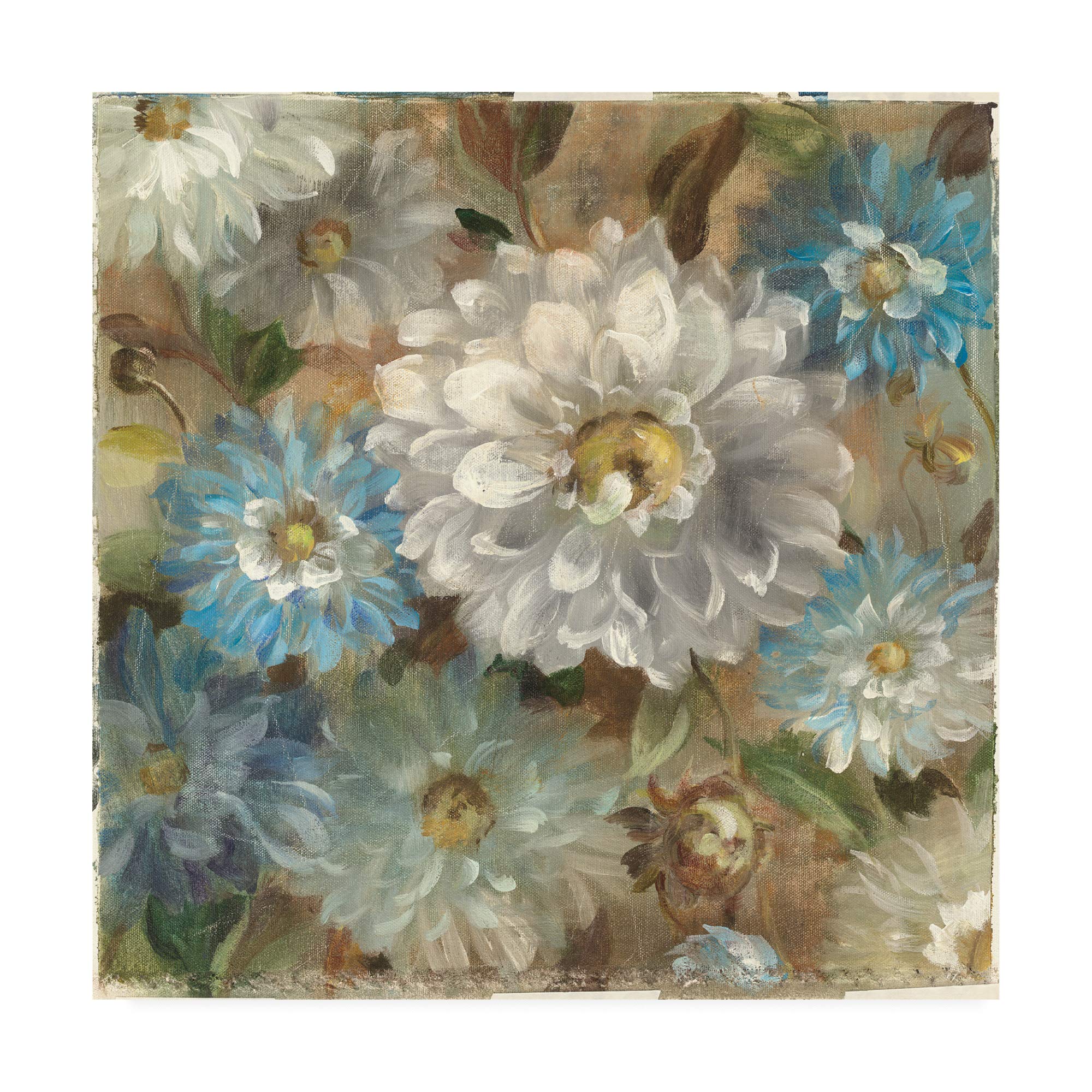 Danhui Nai Secret Garden I Fine Art Print - 35x35 Inch Floral Wall Decor for Living Room, Bedroom & Office | Trademark Fine Art Collection