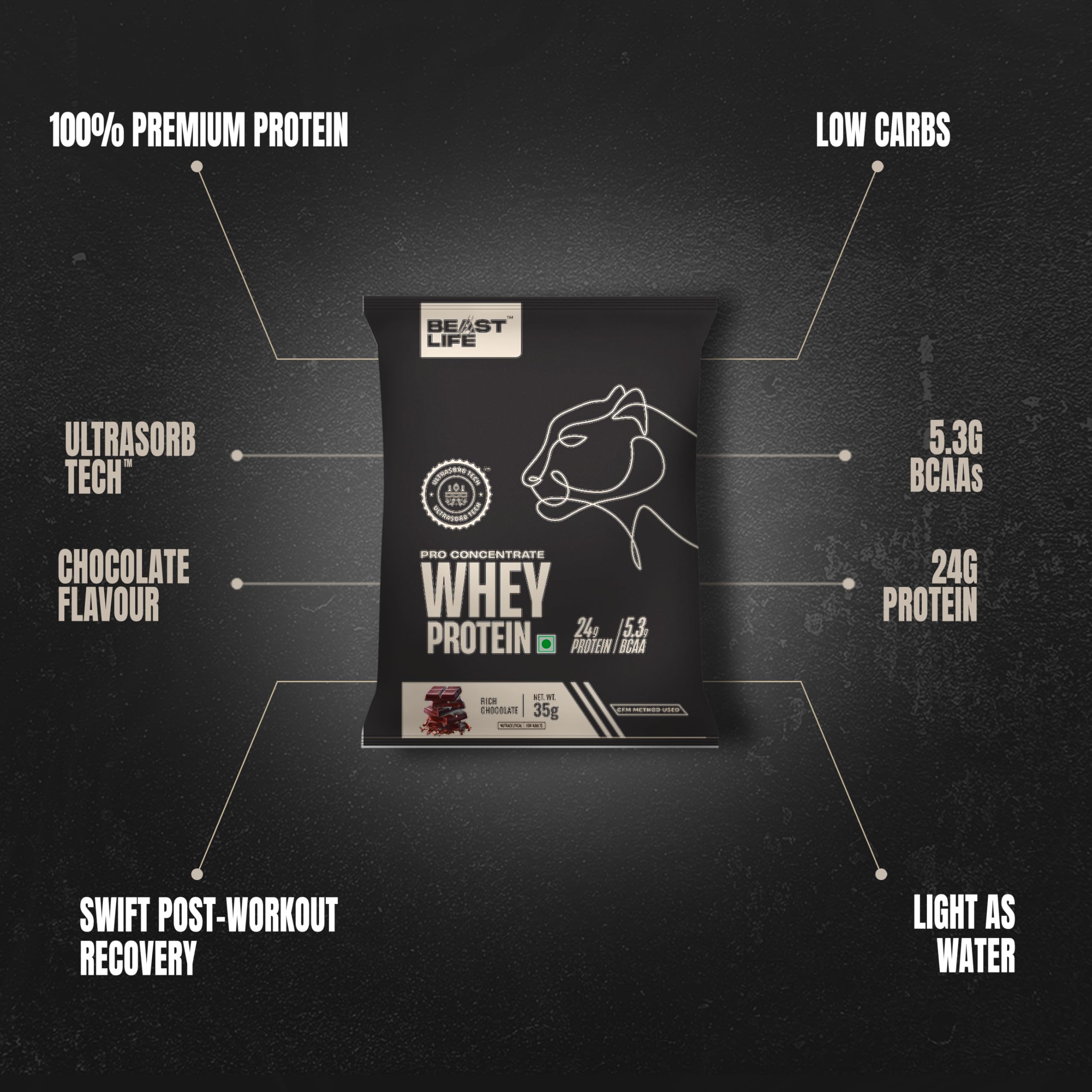 BeastLife Whey Protein Powder Chocolate Flavor 5 Servings (24g Protein per Serving) with Ultrasorb Technology - Portable Travel Sachets for Gym, Workout & On-the-Go Nutrition