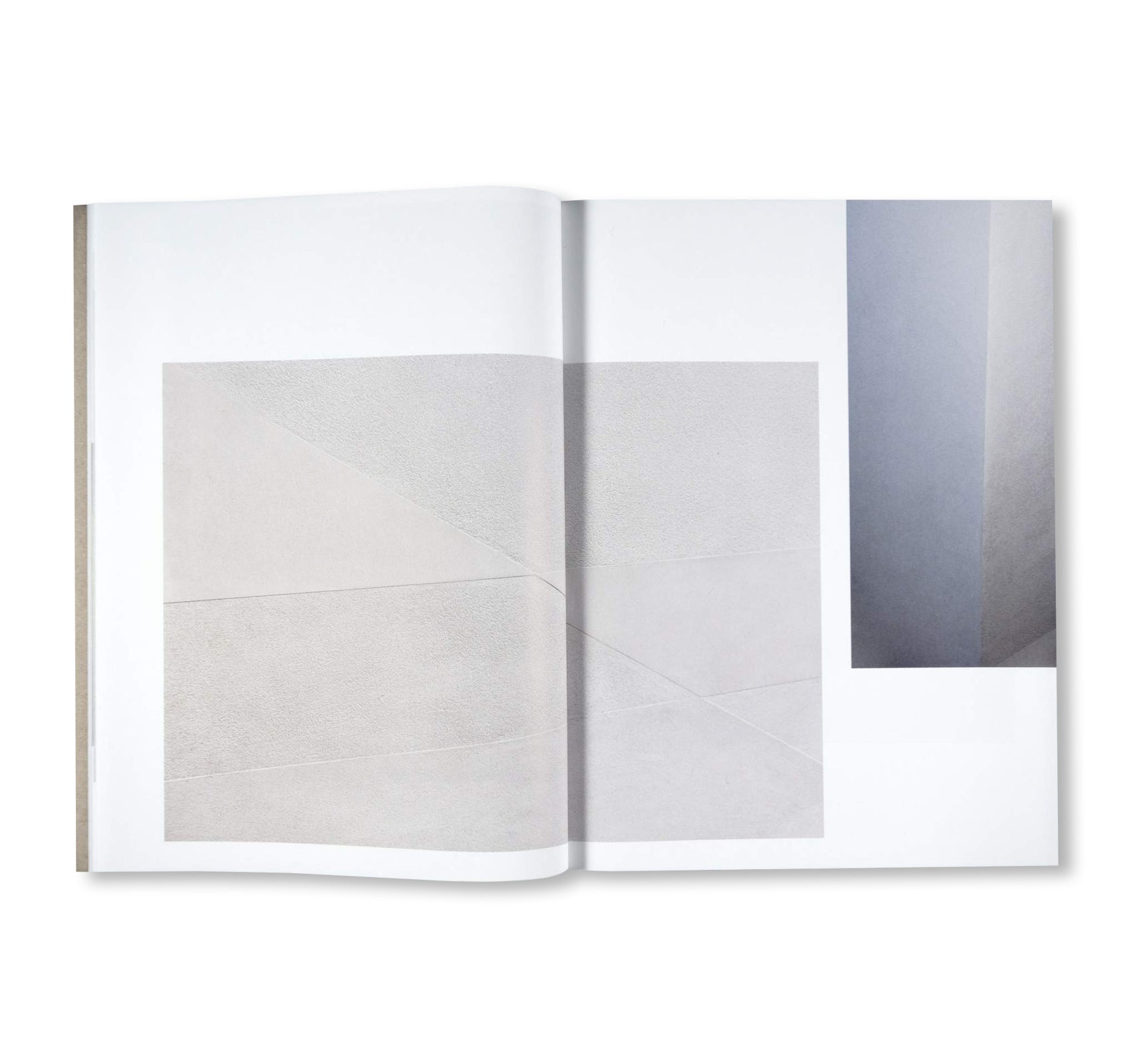 LE PIGMENT DE LA LUMIÈRE by Heidi Specker & Olaf Nicolai - Contemporary Art Photography Book for Collectors - Perfect for Home Decor, Art Galleries, and Creative Inspiration