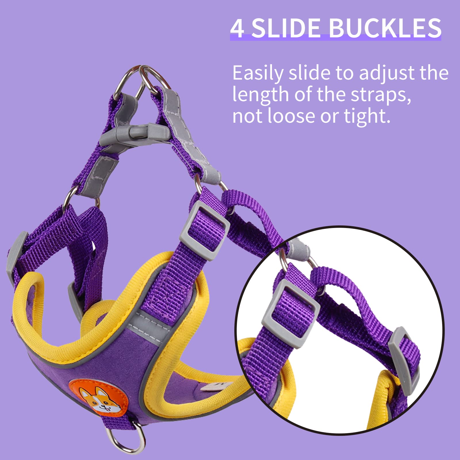 Adjustable No-Pull Dog Harness for Small & Medium Dogs - Reflective Puppy Vest Harness with 2 Leash Clips & Comfort Padding | Perfect for Walking, Training & Outdoor Adventures