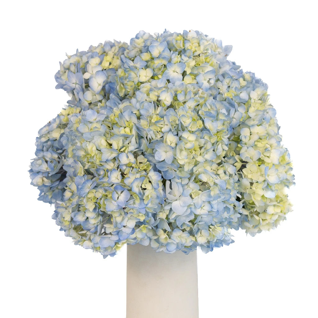 Blue Ivory Mist Hydrangea Flower - Artificial Silk Hydrangea Bouquet for Home Decor, Wedding Centerpieces & Floral Arrangements