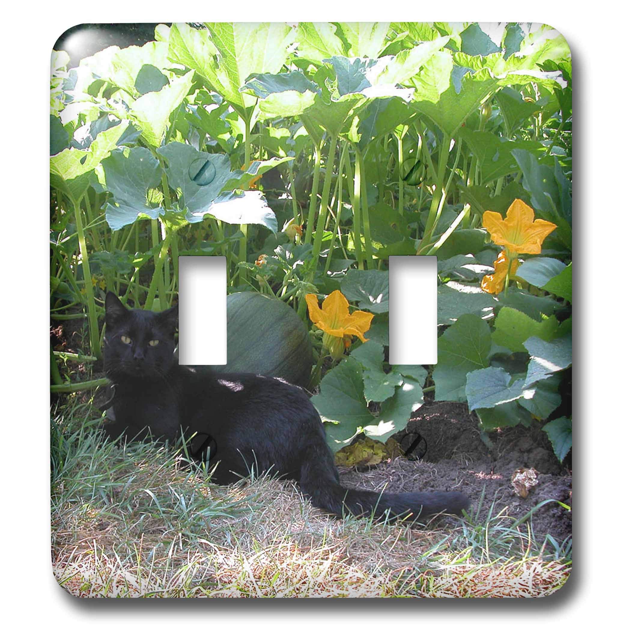 3D Rose Black Cat in The Pumpkin Patch Double Toggle Switch - Decorative Wall Switch Cover for Halloween, Kitchen, Bedroom, and Home Decor