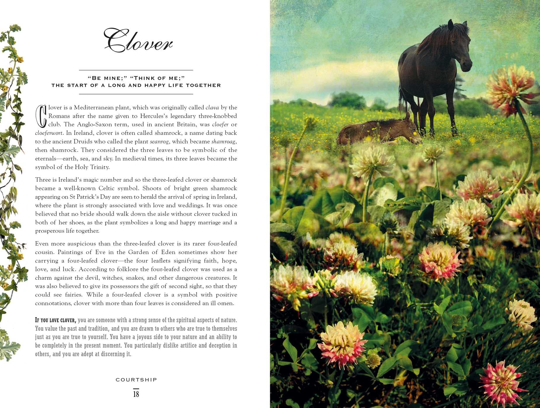 The Secret Language of Flowers: Meaning & Symbolism Guide | Perfect for Weddings, Gifts & Home Decor