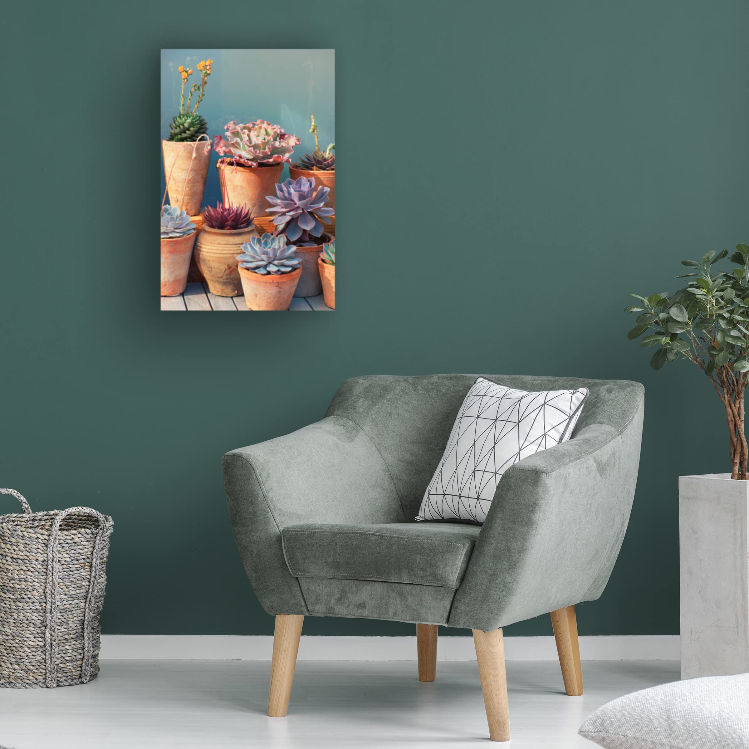 Trademark Fine Art 'Succulent on Table II' Canvas Wall Art Print by Cora Niele - Modern Home Decor for Living Room, Bedroom & Office