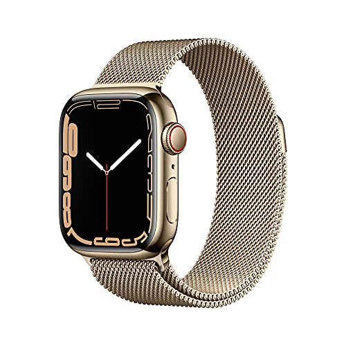 Gold Stainless Steel Case with Gold Milanese Loop