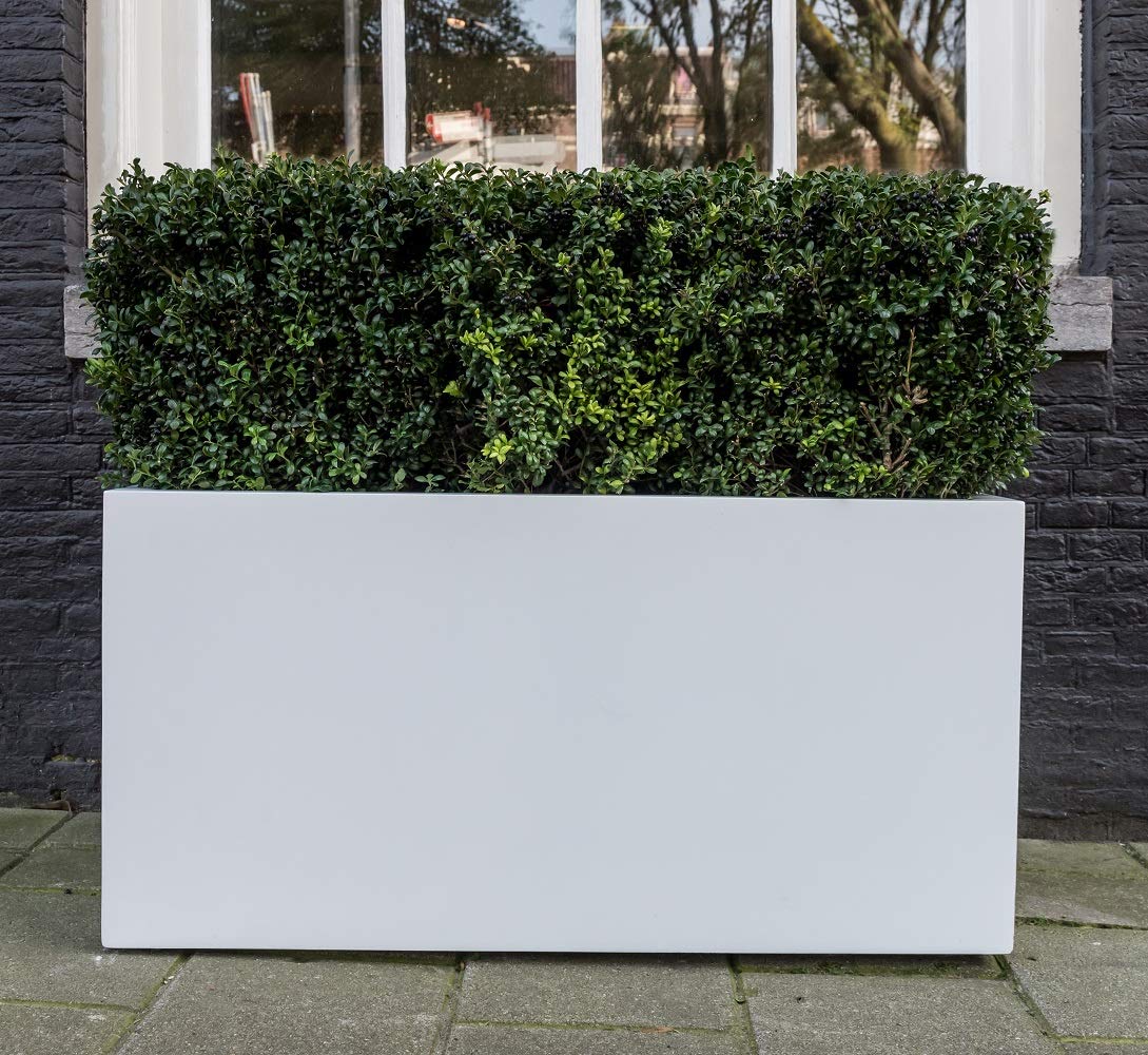 Jort S Fiberstone Modern Rectangular Planter Pot E1066-S1-MW - Indoor/Outdoor Matte White Plant Container for Home Decor, Patio & Garden