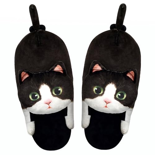 Black and White Cat