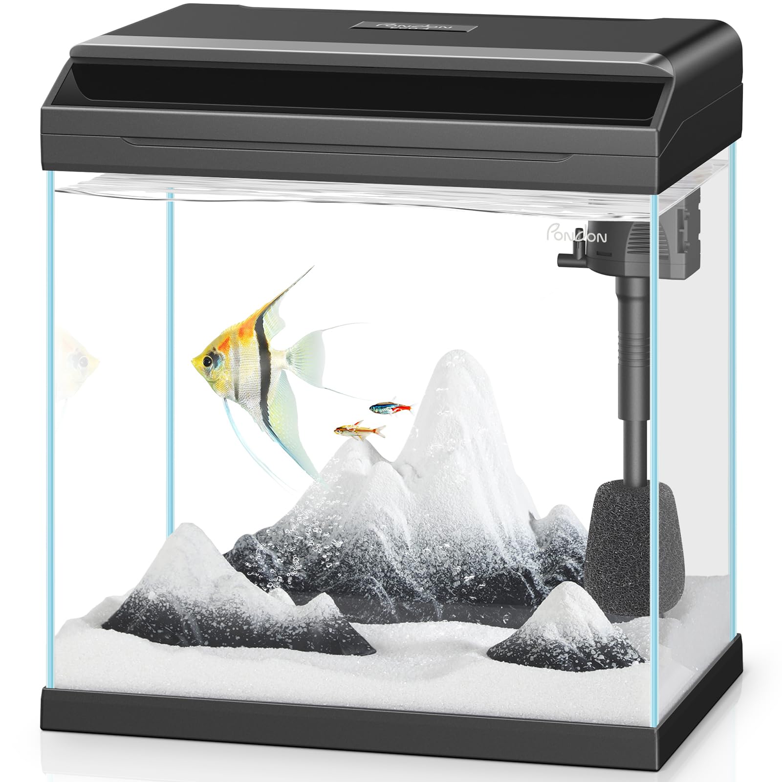 4 Gallon Low-Iron Glass Fish Tank with LED Light & Filter - Perfect for Betta Fish & Beginners