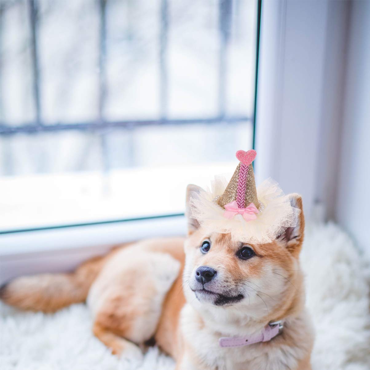 POPETPOP Gold Hair Clips & Dog Birthday Hat - Cute Princess Pet Costume Headbands for Small Dogs & Cats | Perfect for Pet Birthday Parties, Photo Shoots & Dress-Up Play