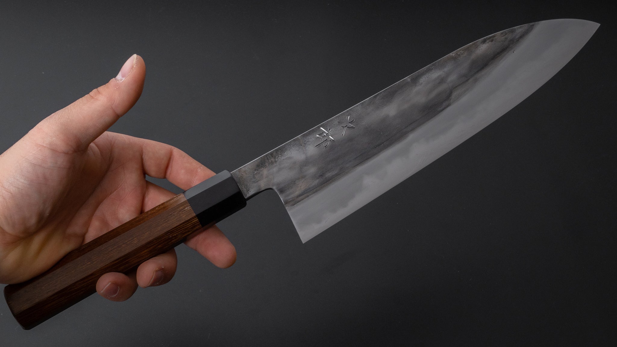 Premium Jiro Tsuchime Wa Gyuto 240mm Japanese Chef Knife with Taihei Tagayasan Handle - Perfect for Sushi, Meat Slicing & Professional Kitchen Use