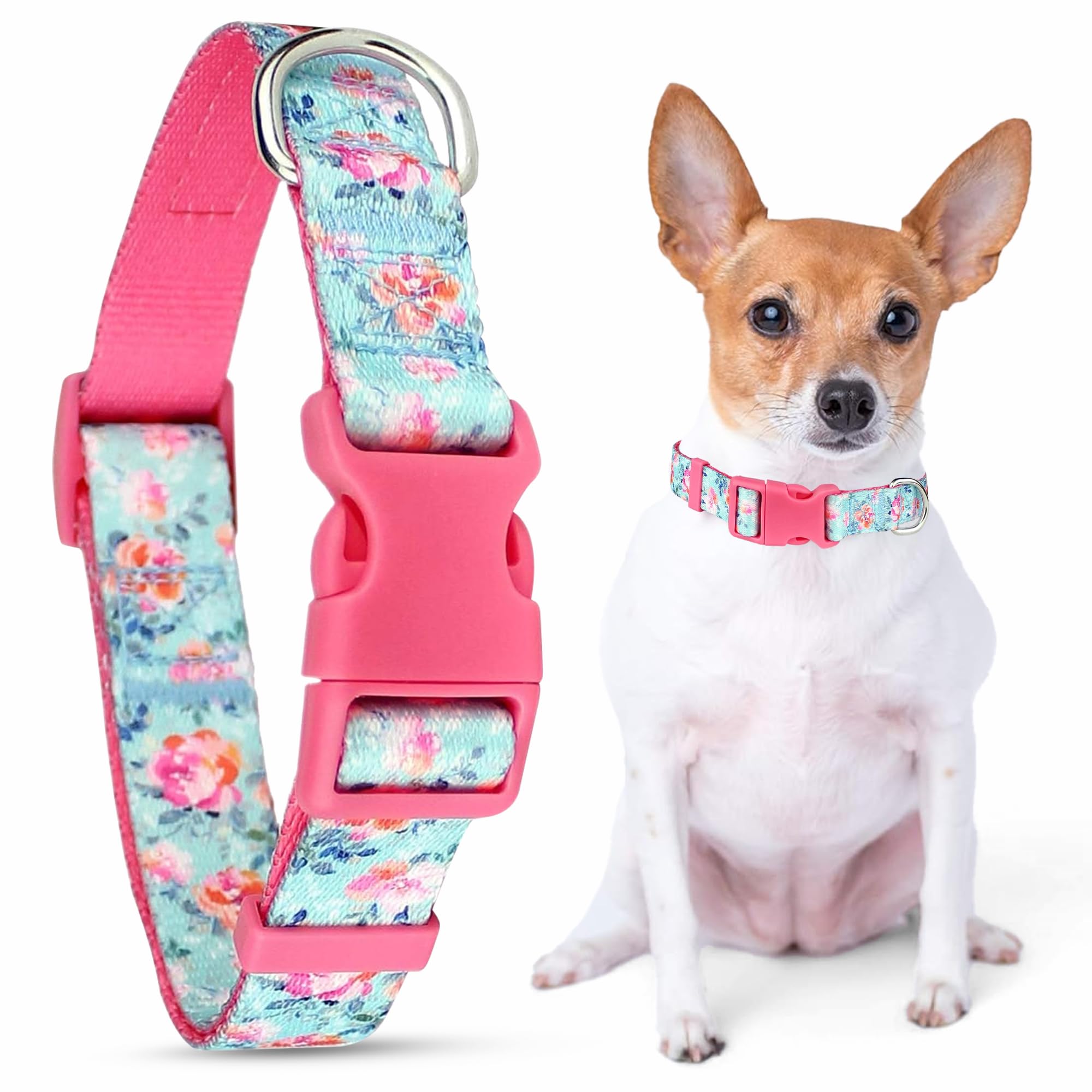 Parisian Pet Dog Collar - Adjustable Spring Blossoms Pattern Safety Buckle Collar for Small & Large Breed Dogs | Cute Puppy Collar with Breathable Nylon | Perfect for Daily Walks, Training & Outdoor Adventures
