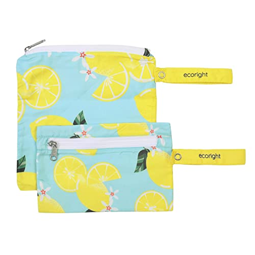 Life gives us only Lemons