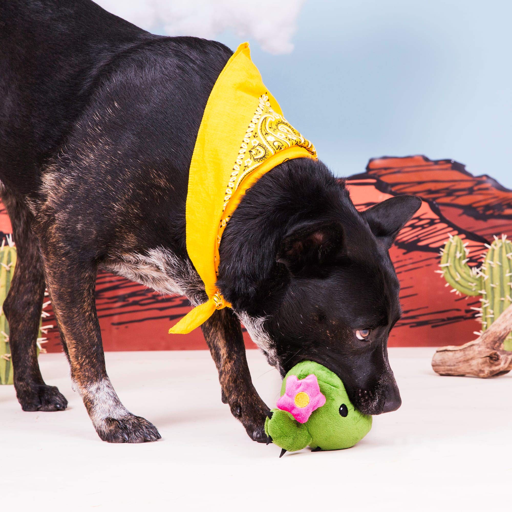 BARK Consuela The Cactus Dog Toy - Medium Size Chew Toy for Small to Medium Dogs, Durable & Fun Pet Toy for Indoor & Outdoor Play