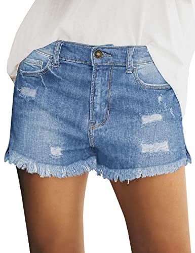 1h-ripped-light Blue