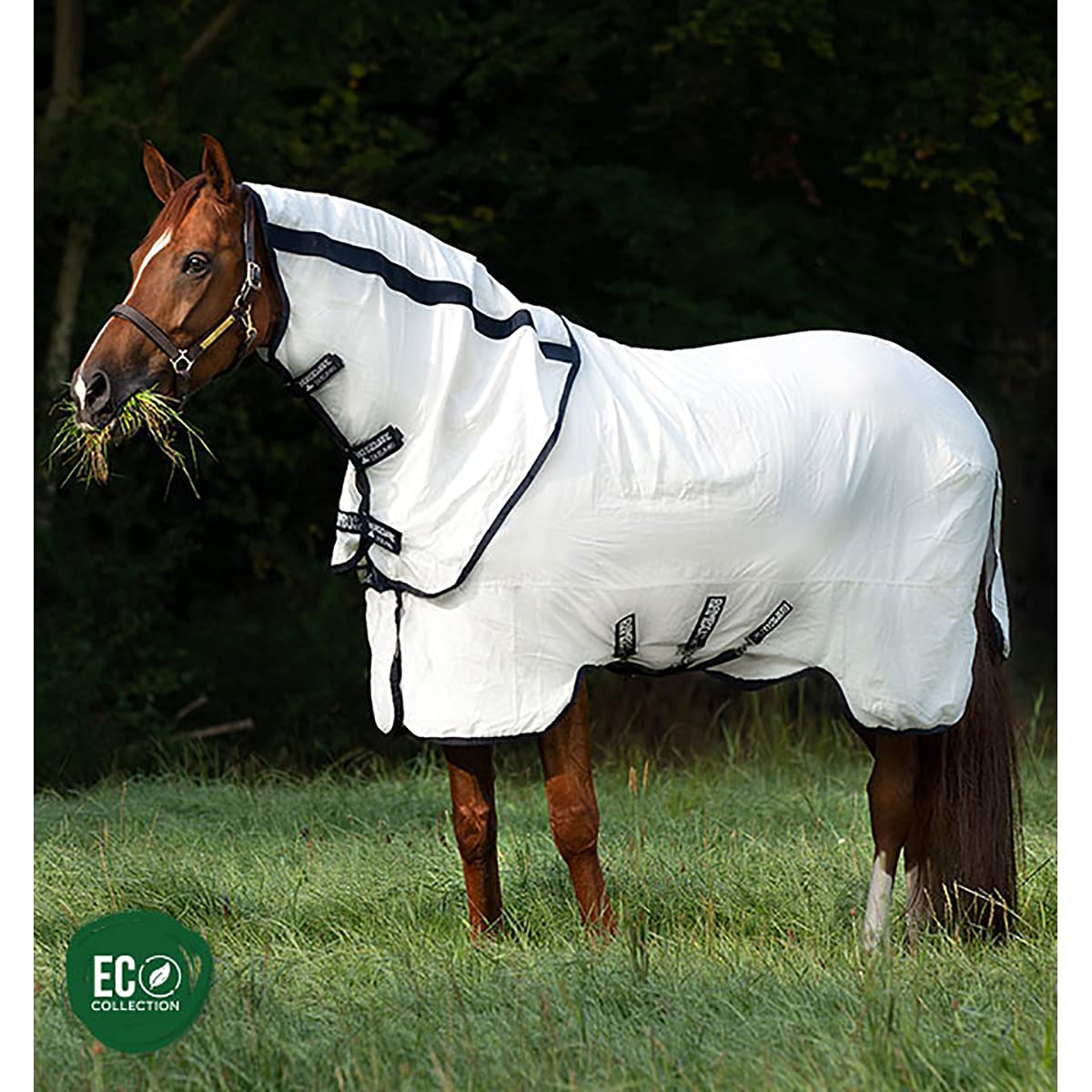 Horseware Ireland Rambo Natura Summer Sheet - Breathable Lightweight Horse Blanket for Hot Weather, White/Navy, Size 75 - Perfect for Trail Riding, Training & Show Preparation