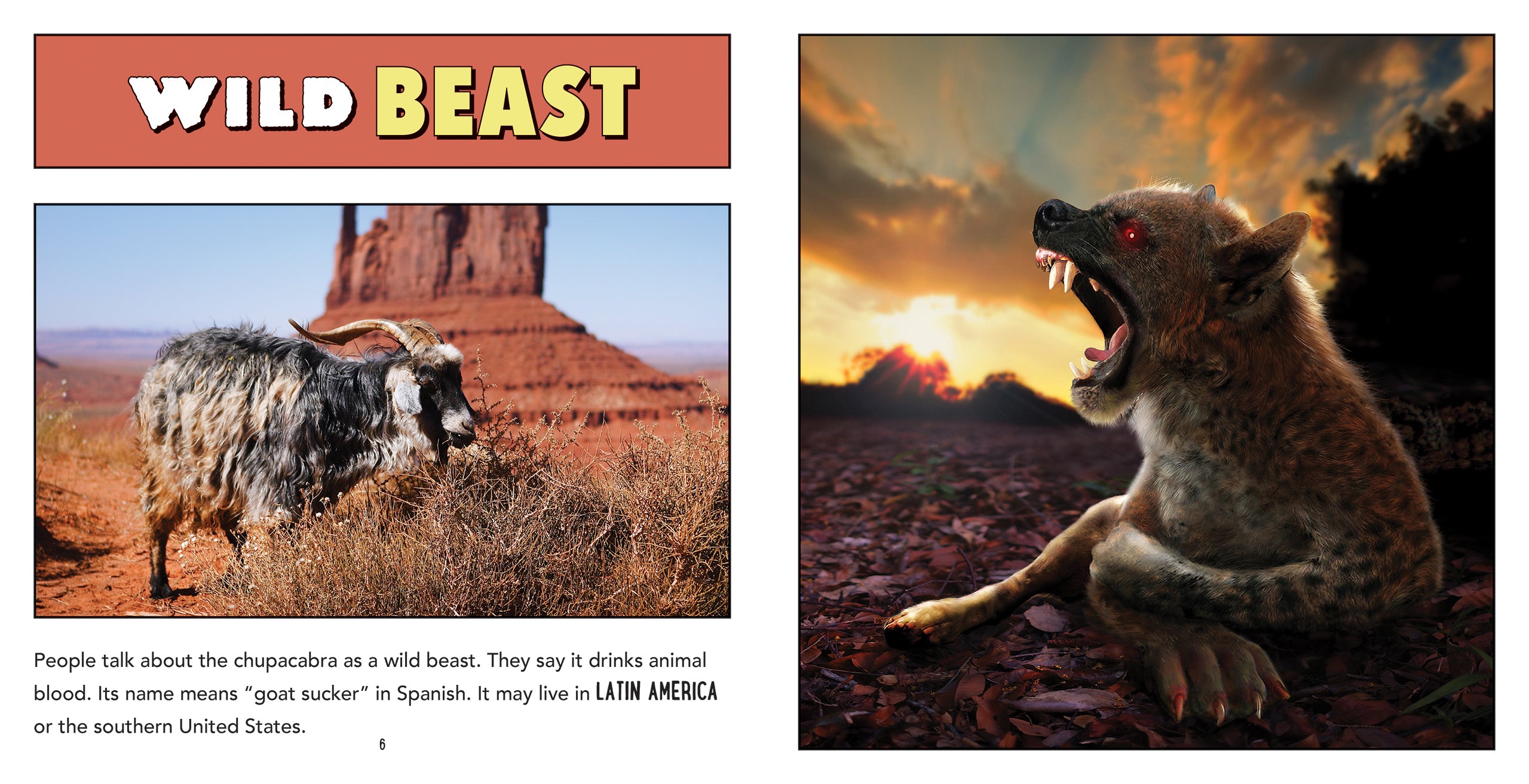 Chupacabra Book - ISBN 9781608187621 - Paranormal Mystery Novel for Horror & Cryptid Fans