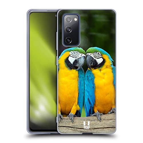 Colourful Macaw Parrot Couple