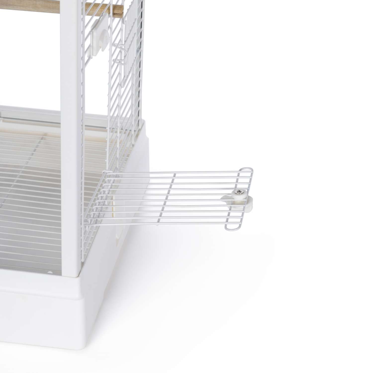 Prevue Pet Products Clear View Glass Bird Cage - Crystal Palace for Small Birds with White Frame | Perfect for Parakeets, Finches & Canaries at Home or Office