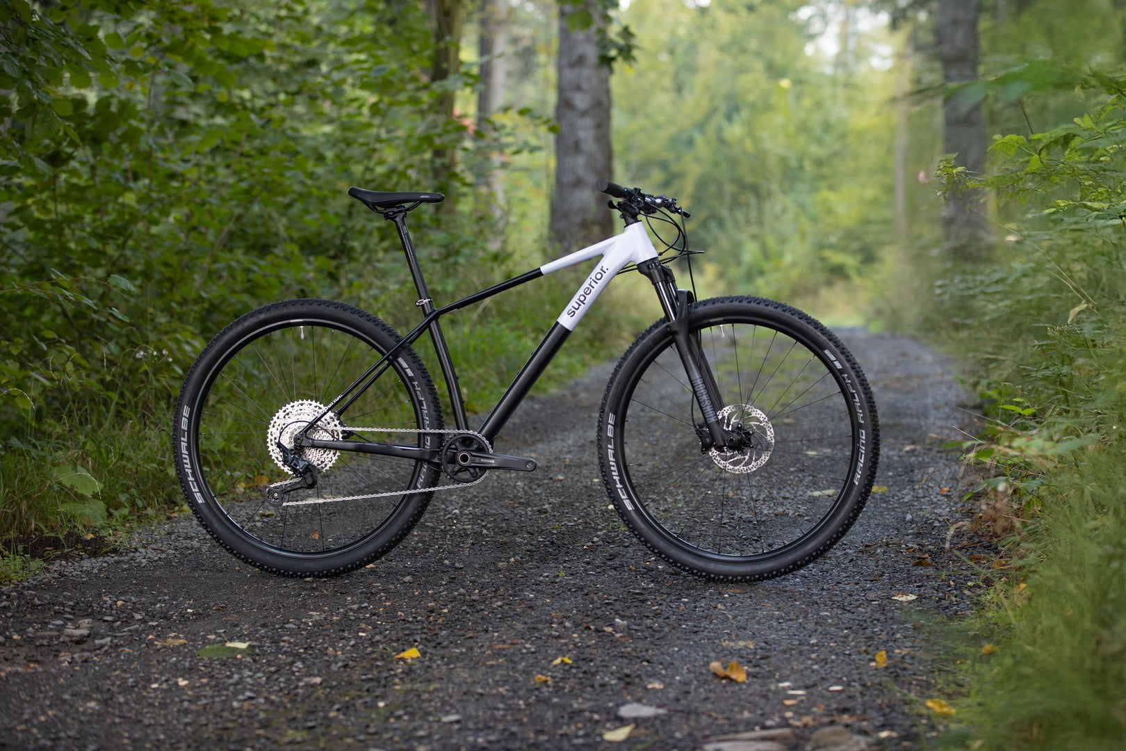 Premium XP 6.2 Mountain Bike for Adults - Lightweight Aluminum Frame, 21-Speed Gears, Dual Disc Brakes - Perfect for Trail Riding, Commuting & Outdoor Adventures