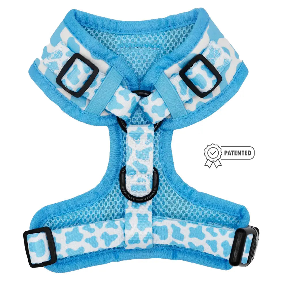 Premium Adjustable Blueberry Milk Dog Harness - Comfortable & Secure for Small to Medium Dogs - Perfect for Walks, Hiking & Outdoor Adventures