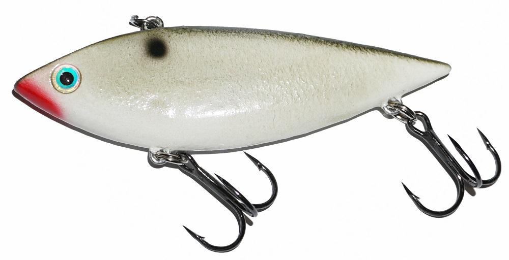 cisco shad